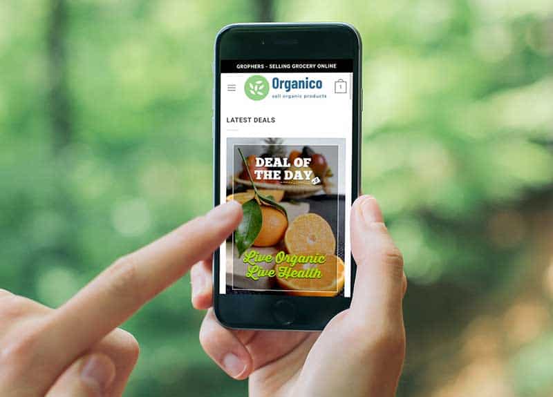 SEO Mobile Friendly 3