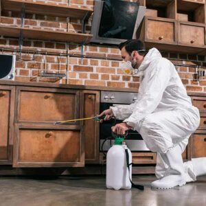 pest control 300x300 1